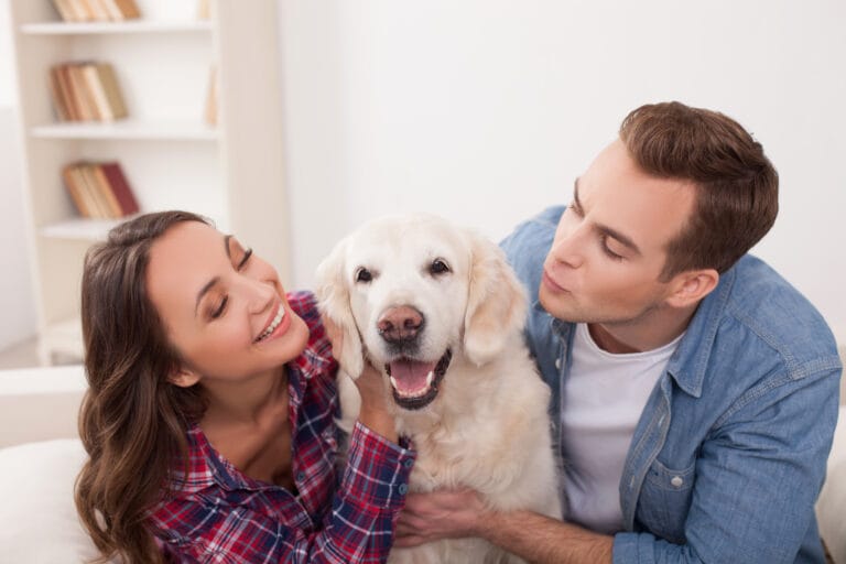 Você sabe como os barulhos afetam a saúde do seu pet?